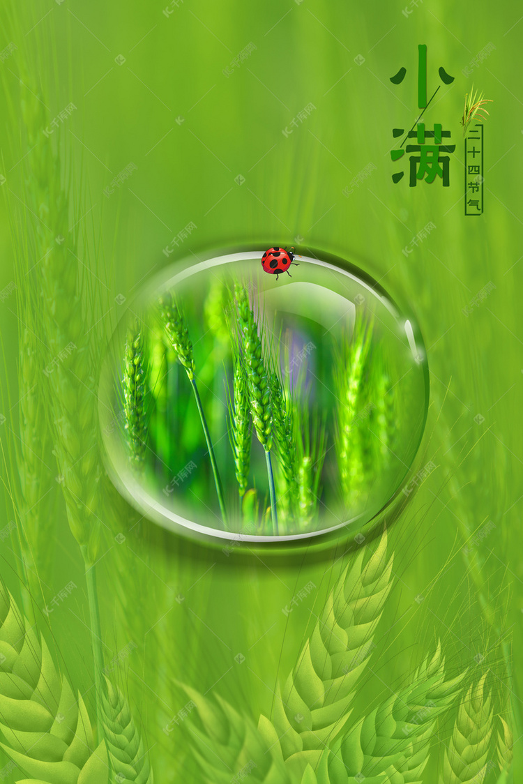绿色麦穗水珠海报背景