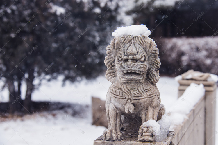 冬季雪景落满积雪的石狮子