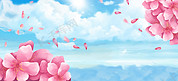 樱花节阳光景色蓝天阳光蓝banner