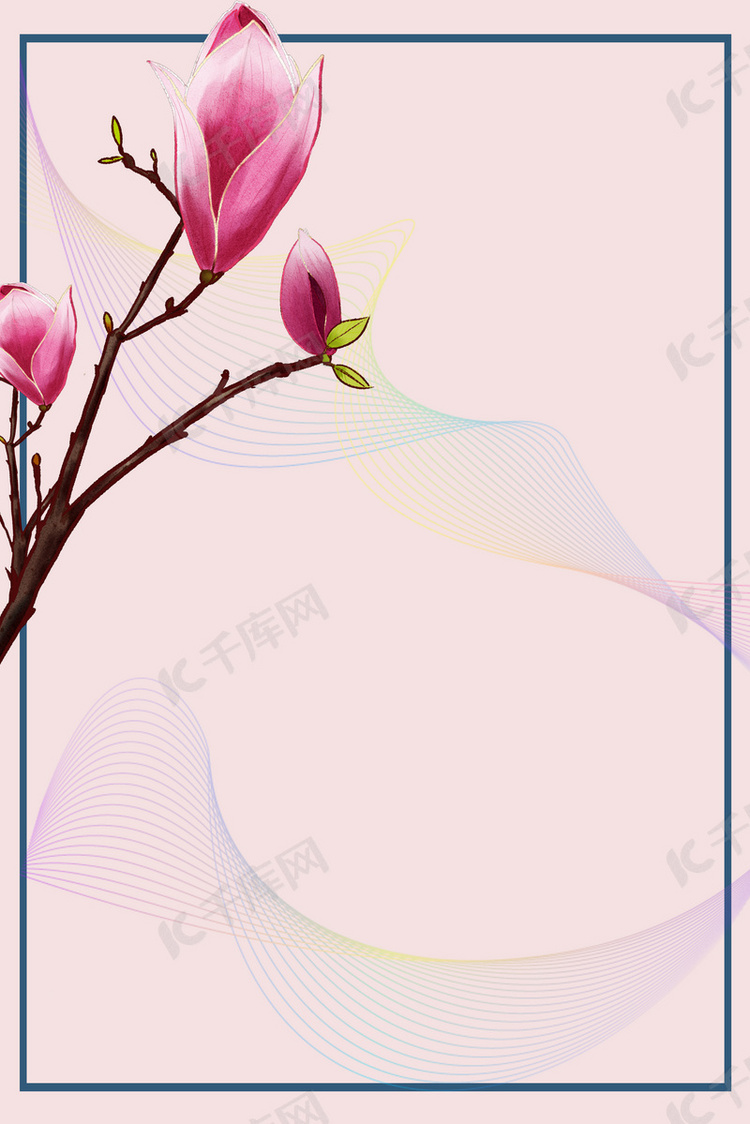 背景图库 玉兰花植物边框 玉兰花朵背景图片版权所有:千库网 编号