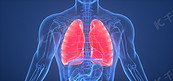 C4D创意医疗肺部人体结构