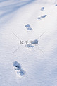 雪后雪地上一串脚印摄影图