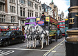 伦敦街头的马车摄影图