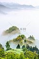 山峰云雾和树木摄影图
