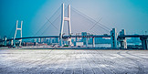 城市交通大桥桥梁地面白天大桥桥梁城市展示摄影图配图