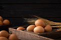 暗调风格营养有机鸡蛋摄影图配图