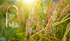农业科技科技图标合成农业摄影图配图