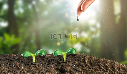 浇水的植物植树节植物合成合成摄影图配图