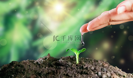 浇水的植物植物植物合成合成摄影图配图