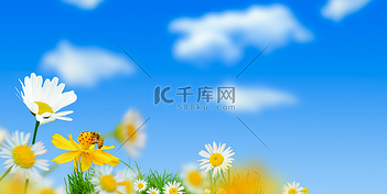 春游素材新图速递