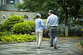 老年生活白天一对老夫妻的背影户外手拉手散步摄影图配图