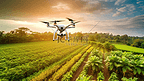 无人机飞过草地。绿色木薯地里的无人机。无人机直升机飞行与高分辨率数码相机在农作物领域的农业概念