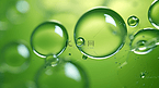 绿色流体液体水珠简约背景13