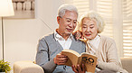 幸福的老年夫妇坐在沙发上看书