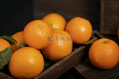 橙子水果暗调风格背景