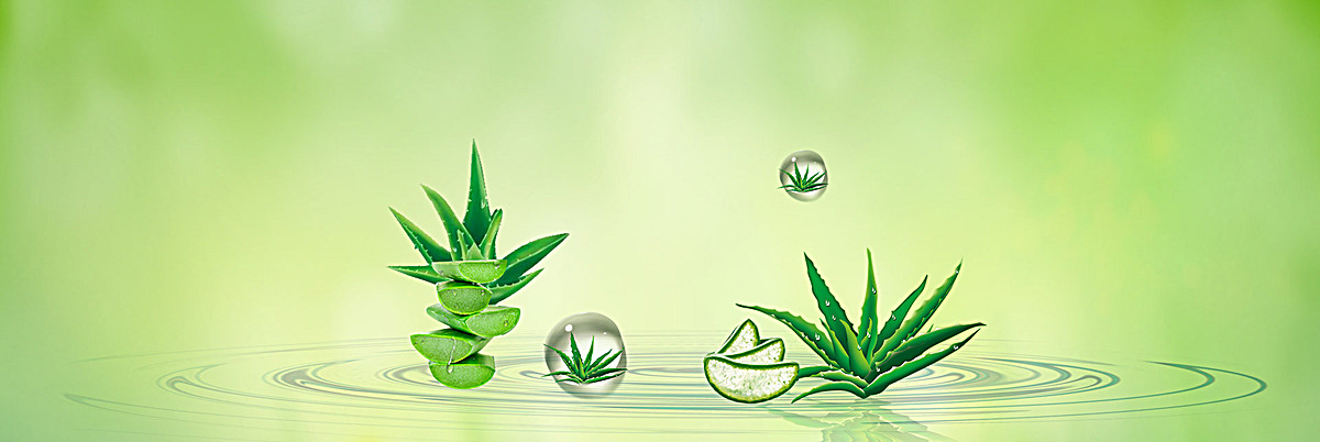 清新淡雅芦荟胶背景图片免费下载_海报banner/psd_千