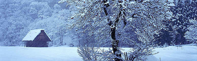 雪景背景图背景图片免费下载_海报banner/高清大图_千