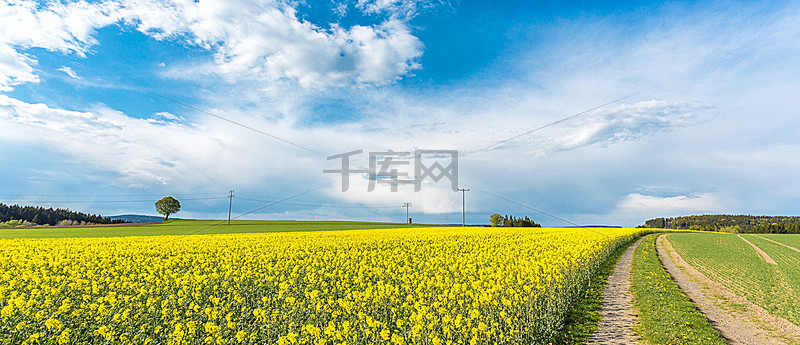 蔚蓝天空春意美好背景图背景图片免费下载_海