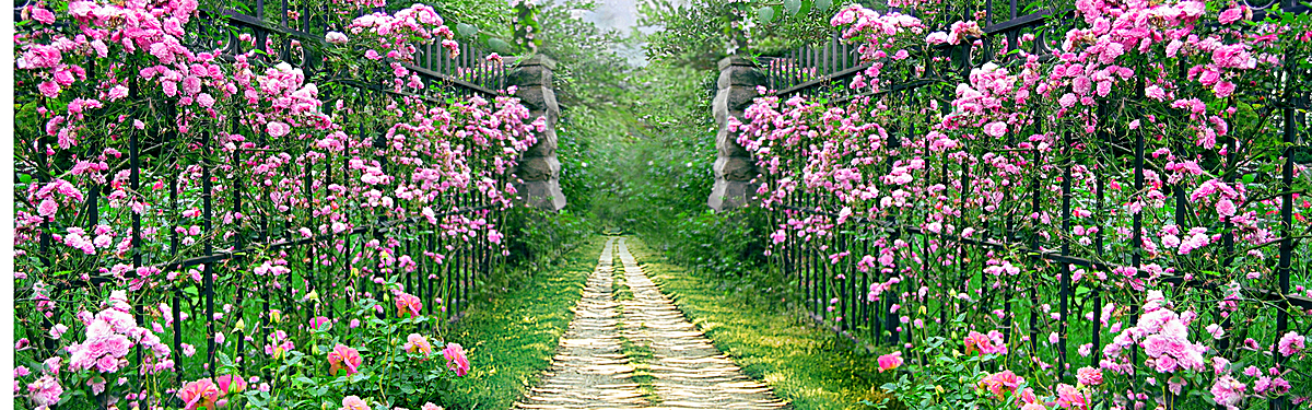 春天花草风景海报banner