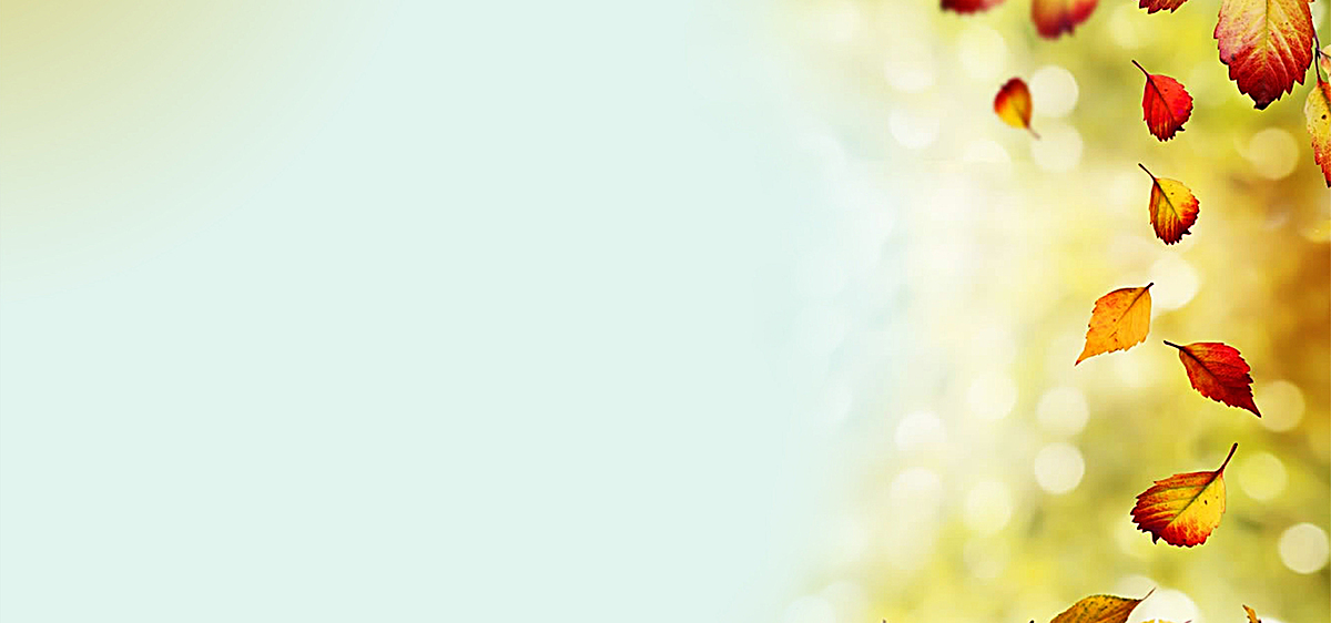 秋季落叶梦幻背景图片免费下载_海报banner/psd_千库