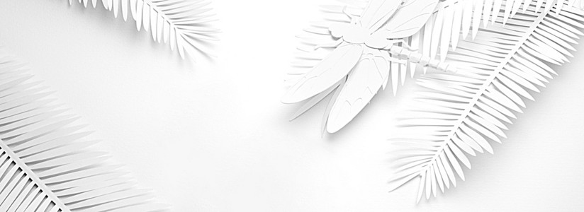 【纯白图背景图片】_纯白图背景素材_纯白图高清背景下载_千库网