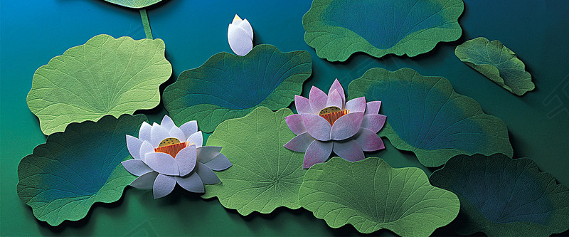 墙壁贴纸画莲花背景图片免费下载_海报banne
