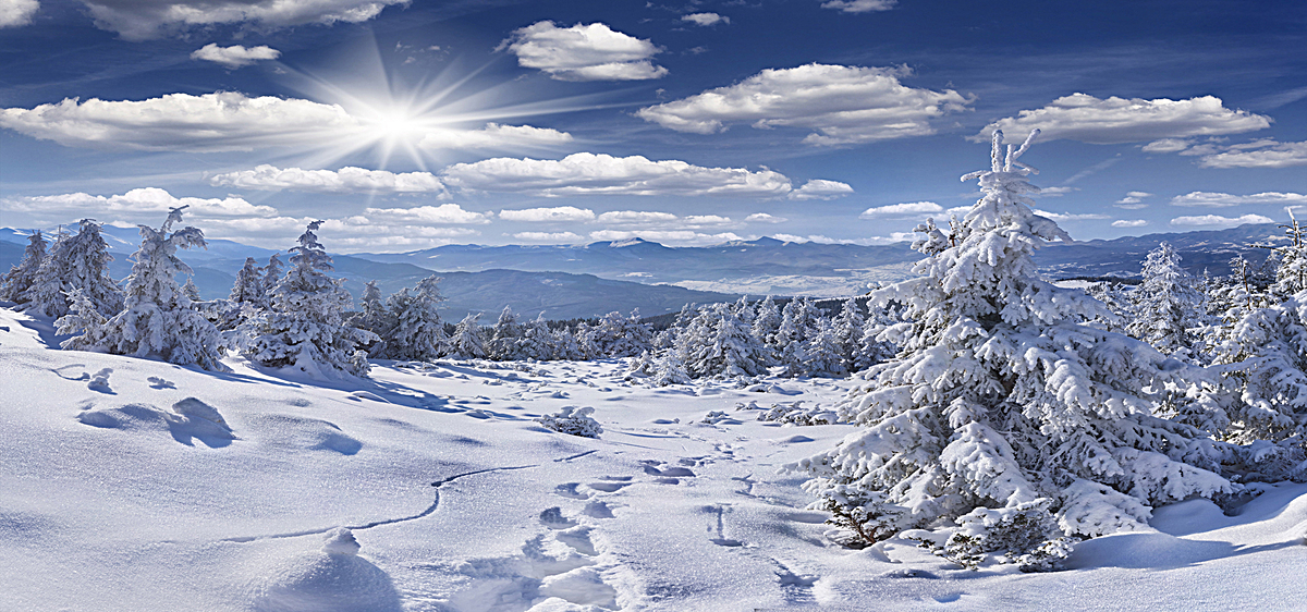 01m 尺寸:1920*900 90设计提供冬季唯美雪景设计素材下载,高清psd格式