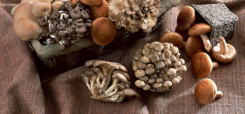 1457a0924f0a383.jpg!ww800