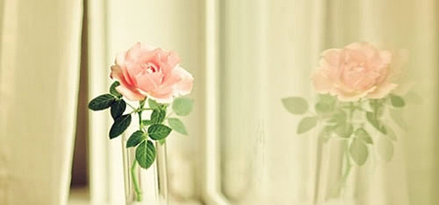 蓝莲花什么样 true