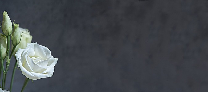 什么宰牛成语_成语故事简笔画(3)