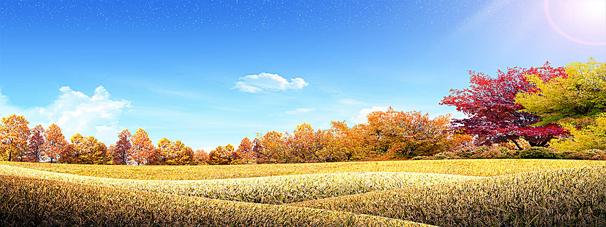图片 > 【jpg】 蓝天草地森林背景 分类:自然/风景 类目:其他 格式:j