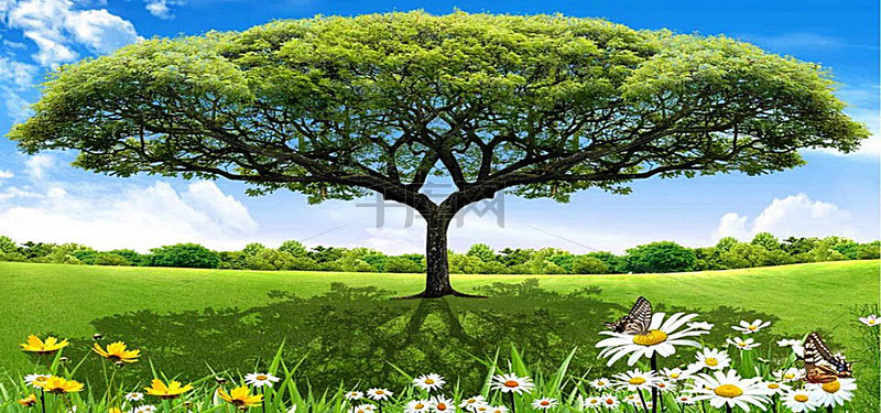 5457bbdc28cc084.jpg!ww800