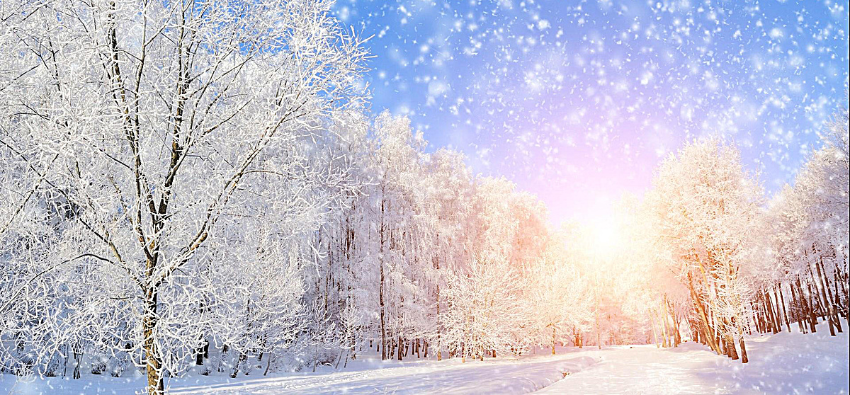 尺寸:1920*893 90设计提供浪漫冬季树林雪景背景设计素材下载,高清psd