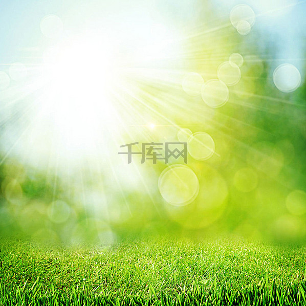 清新阳光草丛背景图背景图片免费下载_主图\/直