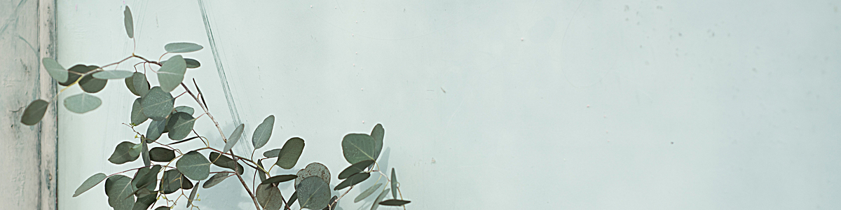 文艺简约壁纸图片分享下载