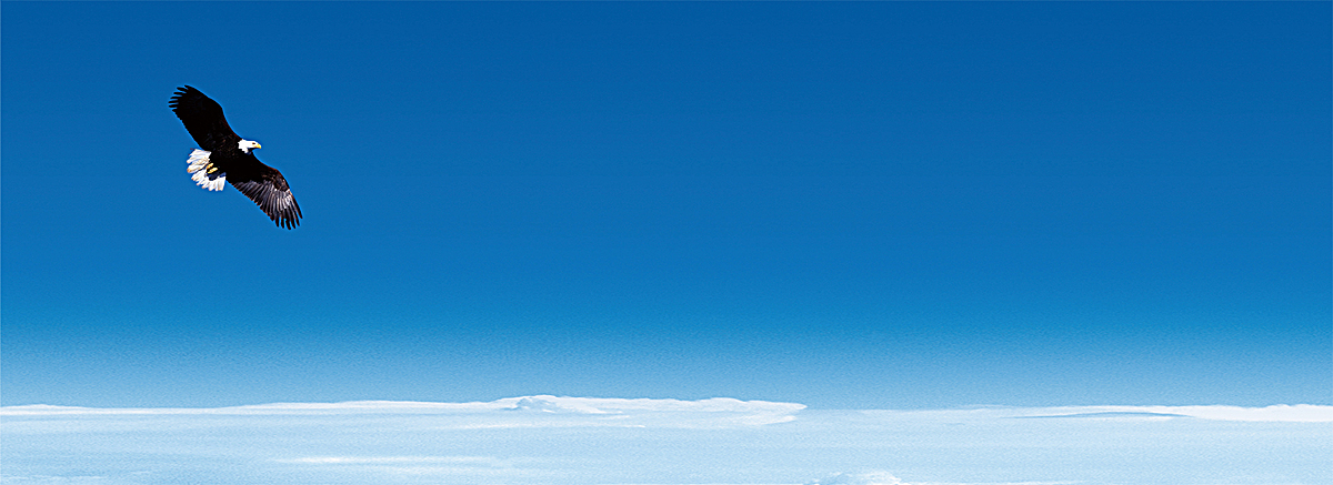 蓝天云海雄鹰石头柱商务海报banner