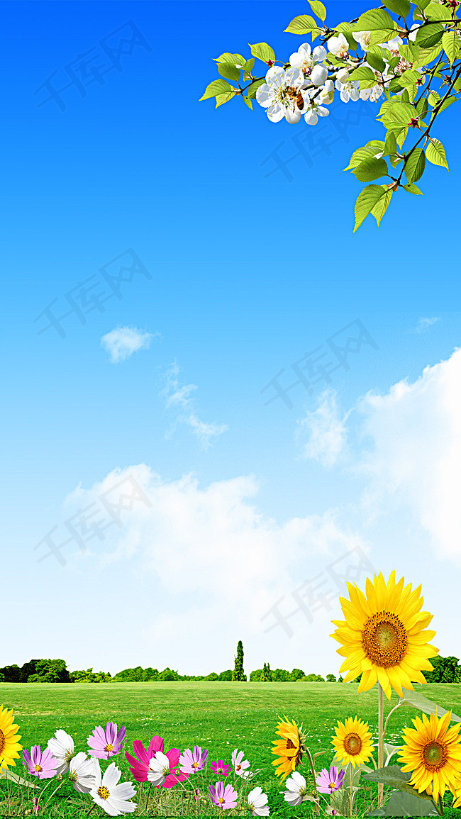 蓝天白云草地清新背景