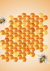 【蜂蜜巢背景图片】_蜂蜜巢背景素材_蜂蜜巢高清背景下载