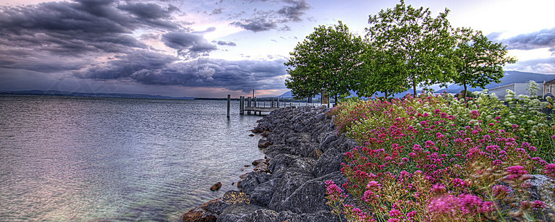 白云大海粉红鲜花背景