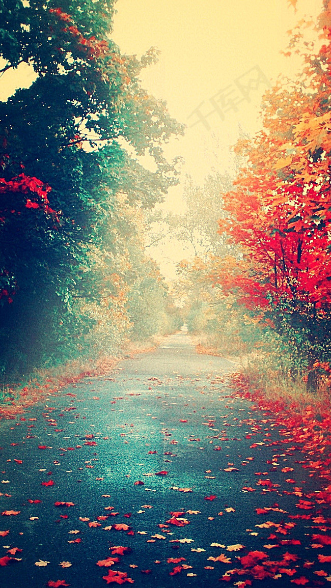 免费下载好看的免费壁纸 800