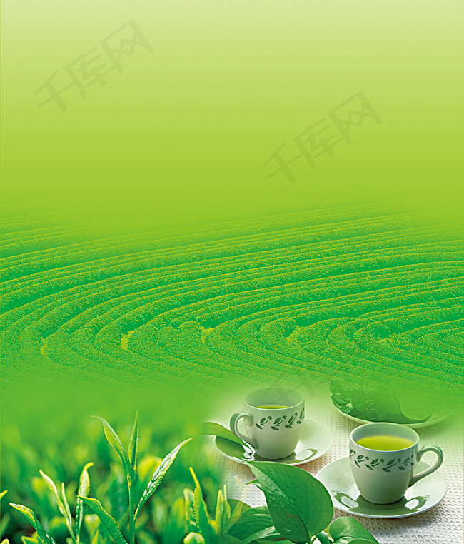 茶田茶叶绿色背景