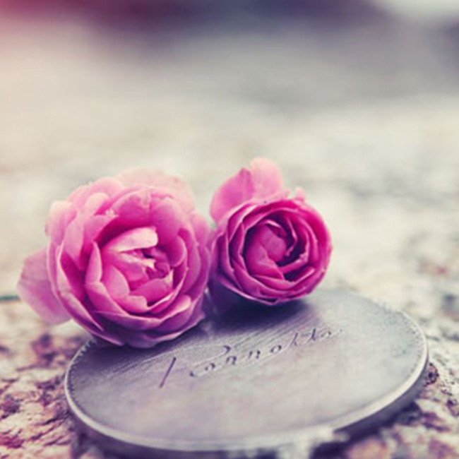 月季吊坠想念的人图片背景素材免费下载,图片