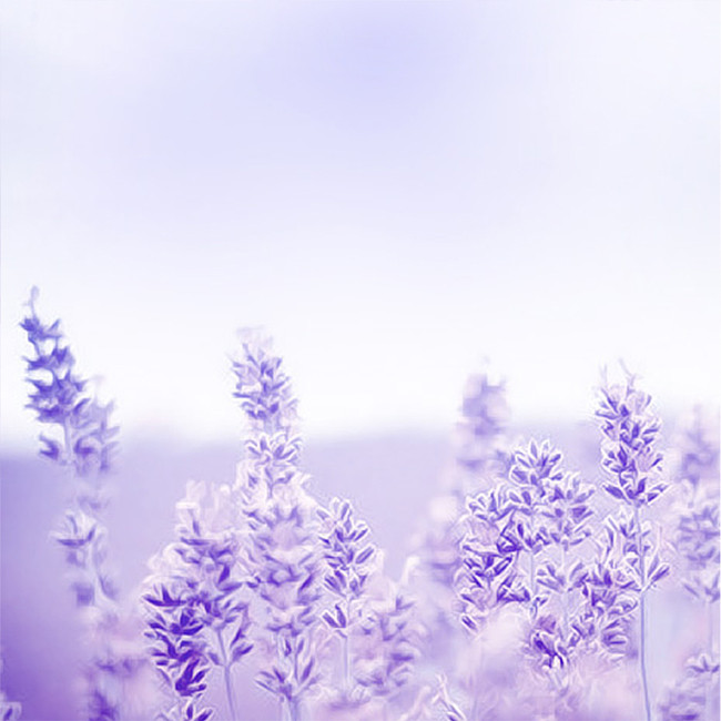 紫色浪漫熏衣草唯美小清新化妆品主图图片背景