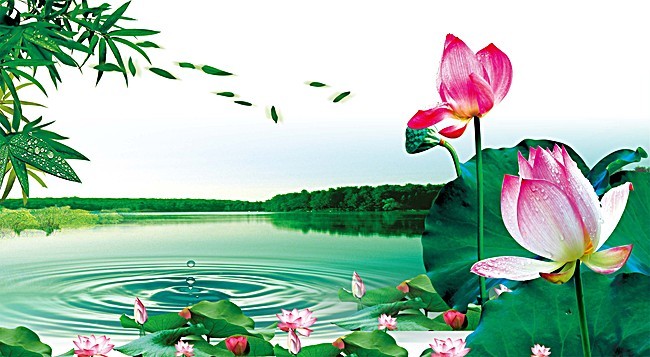 清明节池塘荷花广告背景_平面广告图片下载编
