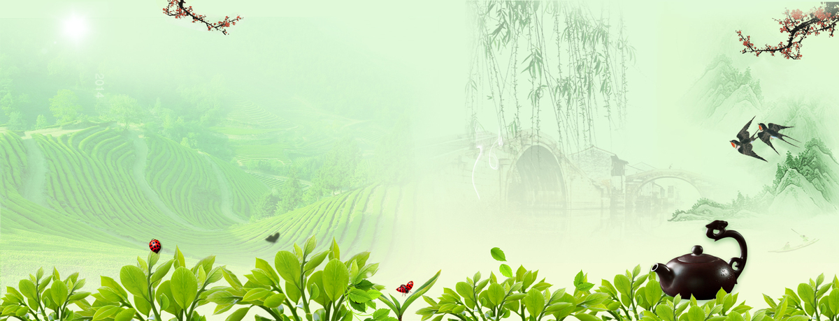 绿色茶叶茶树banner背景图片免费下载_海报banner/psd