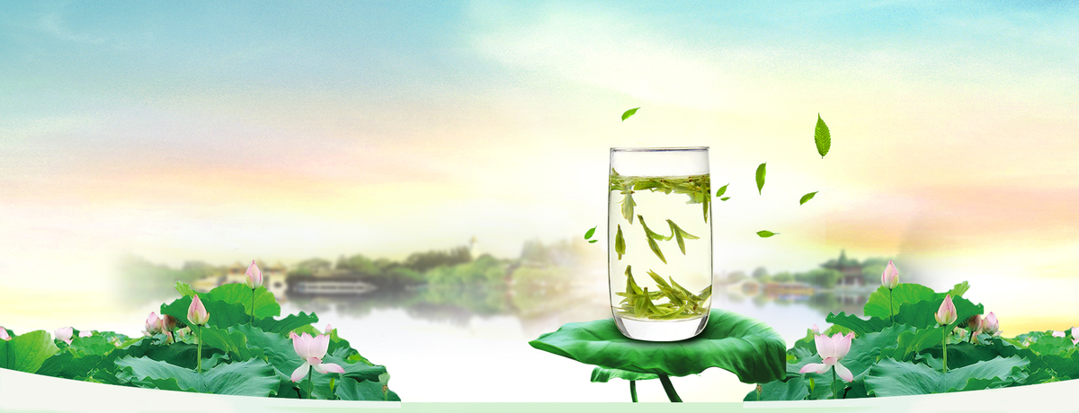 茶叶小清新景色风光蓝banner图片