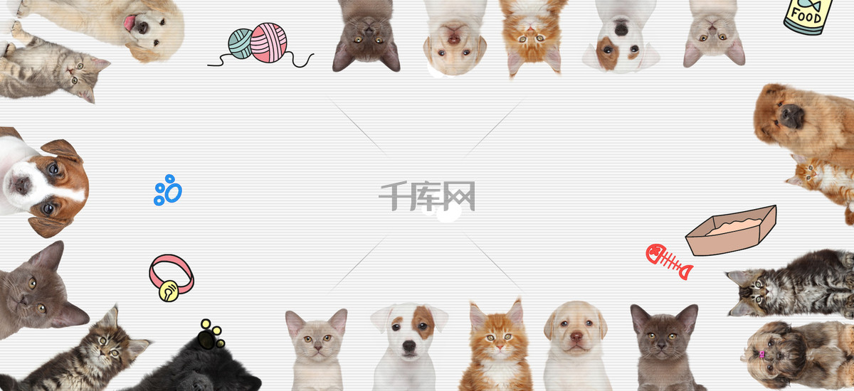 Cartoon Cat And Dog Pictures Cartoon Cat And Dog Pictures