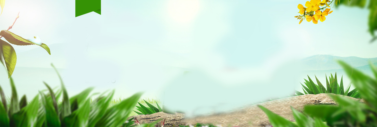 生机背景图片免费下载_海报banner/高清大图_千库网