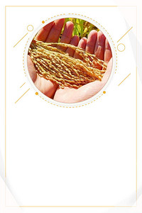 【不文明背景图片】_不文明背景素材_不文明