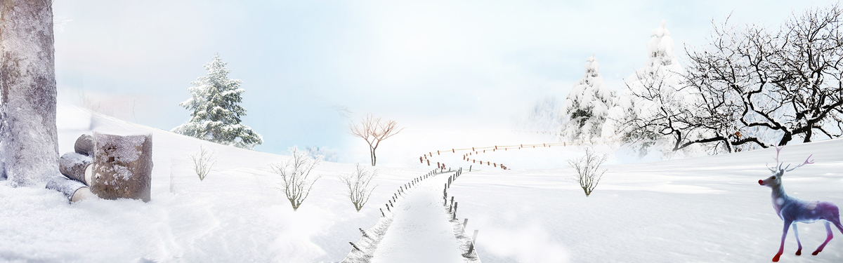 清新梦幻北方雪景banner背景图片素材